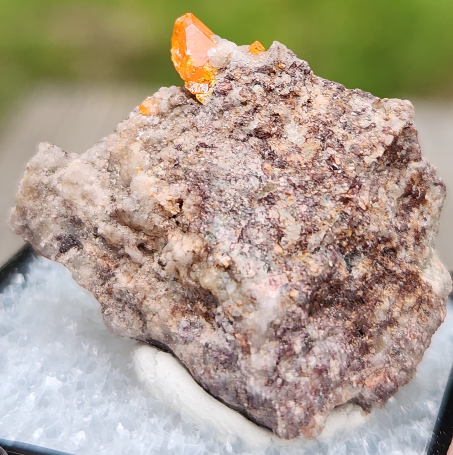 Red Cloud Wulfenite on Matrix, Arizona, Thumbnail. SP257-2