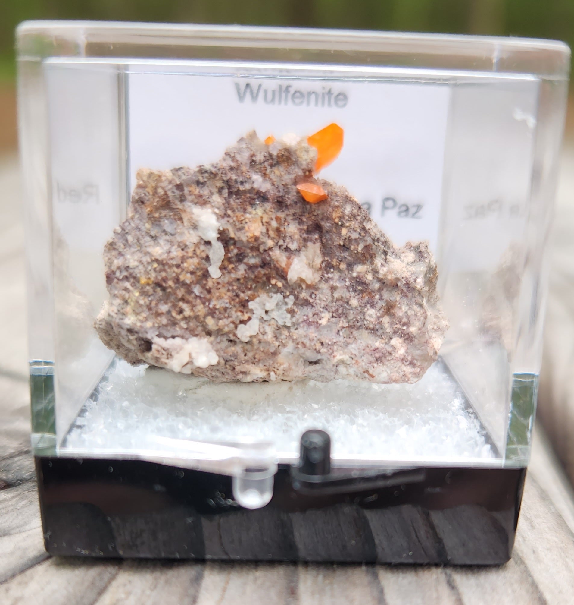 Red Cloud Wulfenite on Matrix, Arizona, Perky Box SP257-5