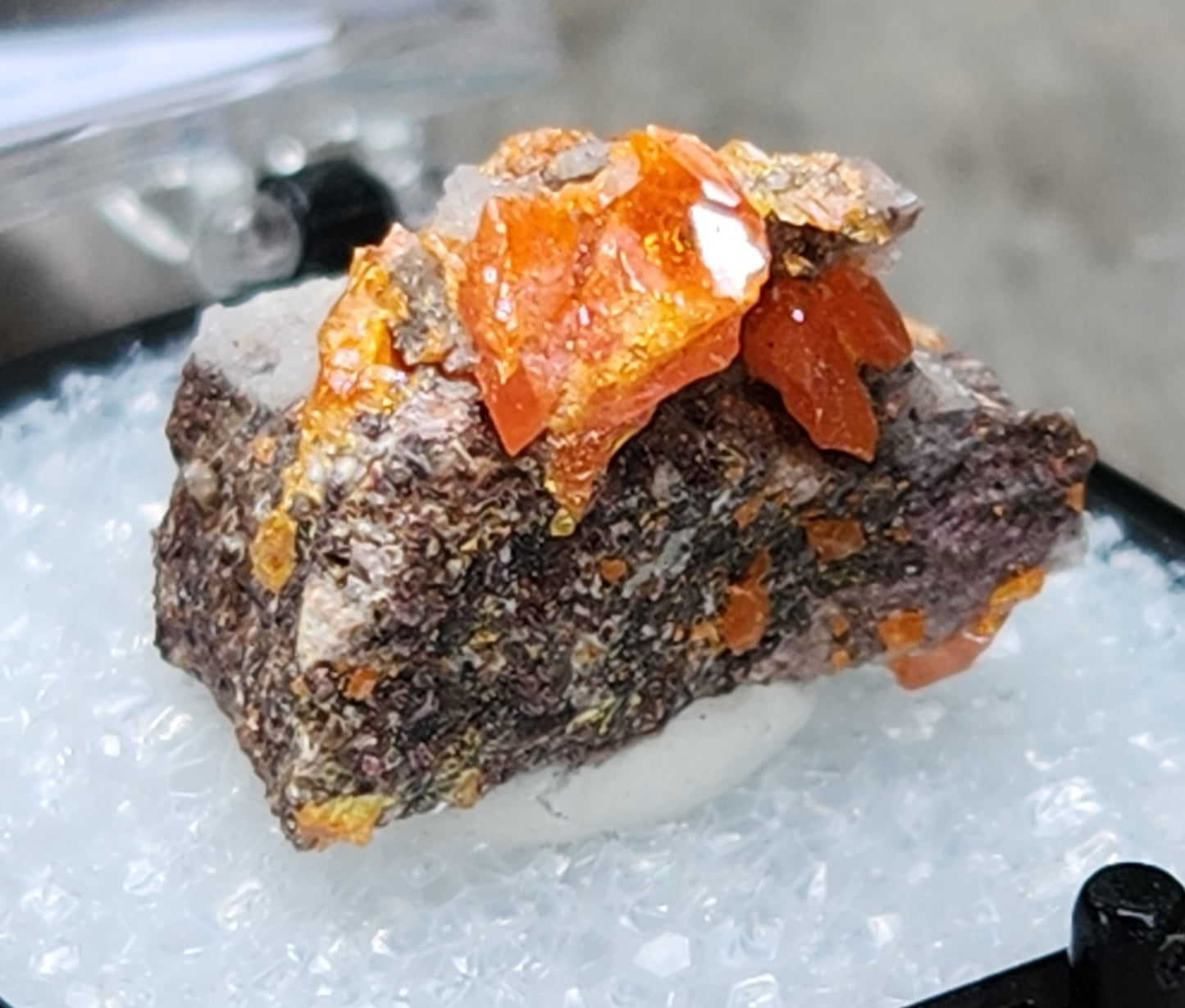 Red Cloud Wulfenite on Matrix, Arizona, Thumbnail. SP259-1