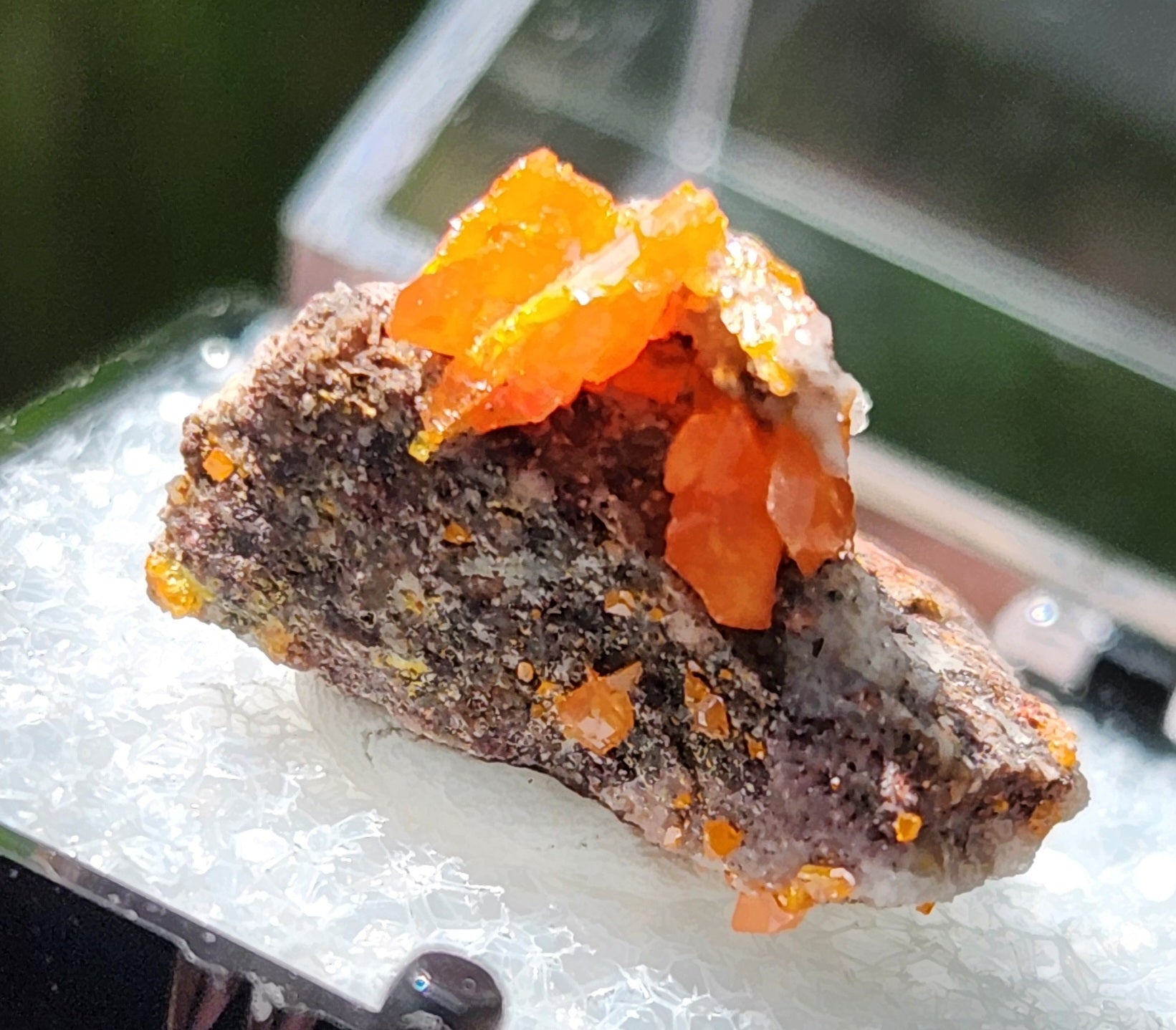 Red Cloud Wulfenite on Matrix, Arizona, Thumbnail. SP259-2