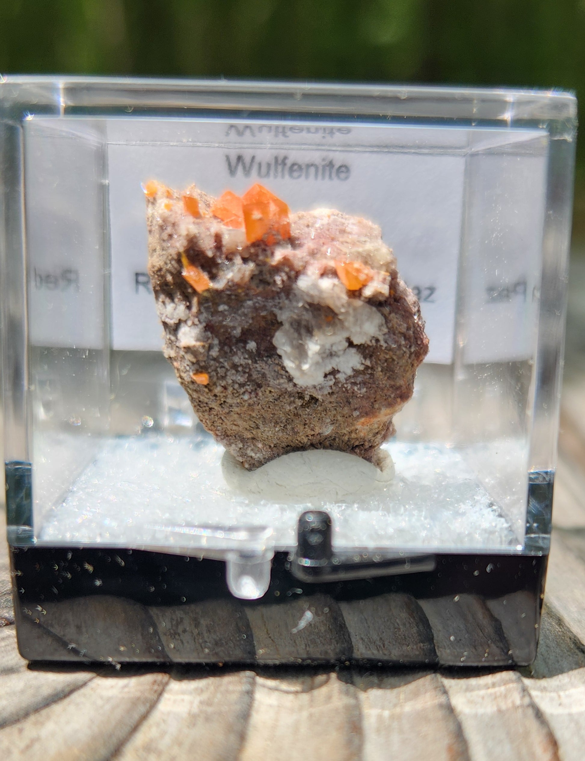 Red Cloud Wulfenite on Matrix, Arizona, Perky Box SP260-4