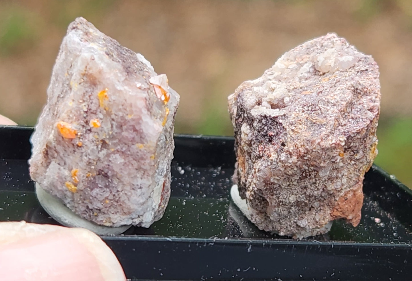 Red Cloud Wulfenite on Matrix, Arizona, Thumbnail. SP261-2