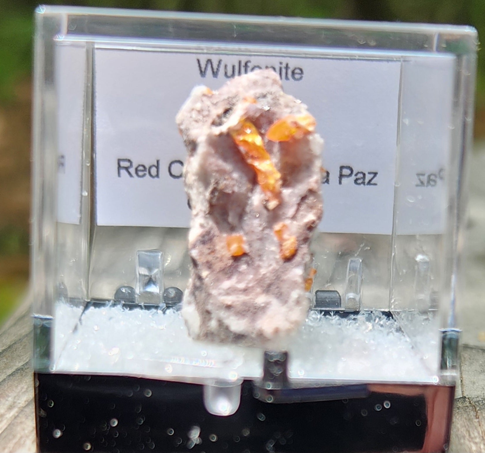 Red Cloud Wulfenite on Matrix, Arizona, Perky Box. SP262
