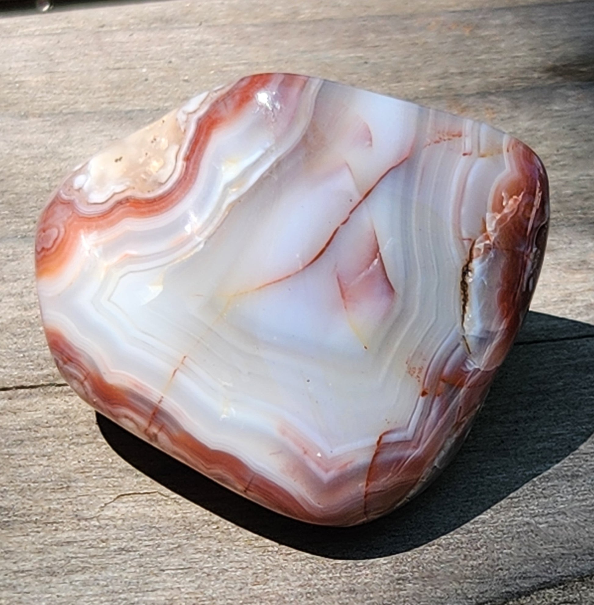 Polished gray and white banded agate TA330