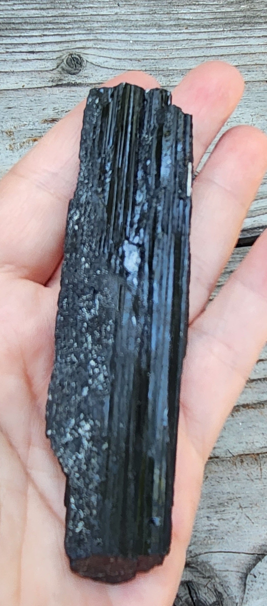 Natural schorl tourmaline specimen showing classic columnar crystal form, item RC429
