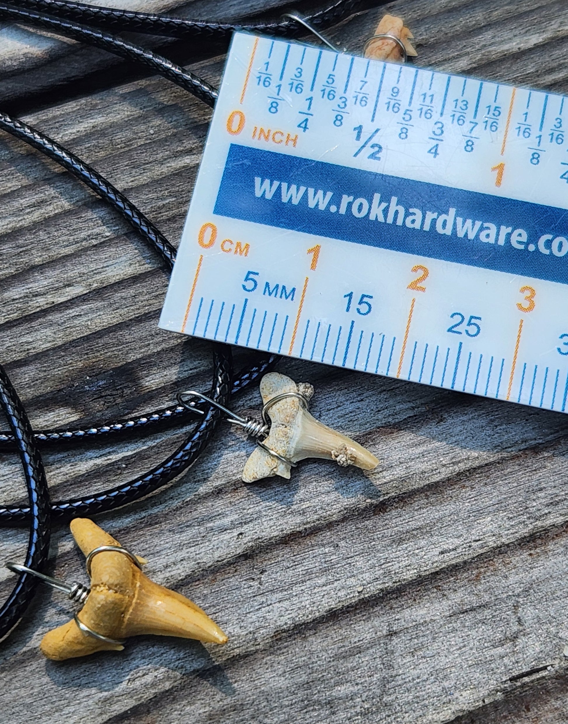 Shark’s tooth necklace teeth size reference 