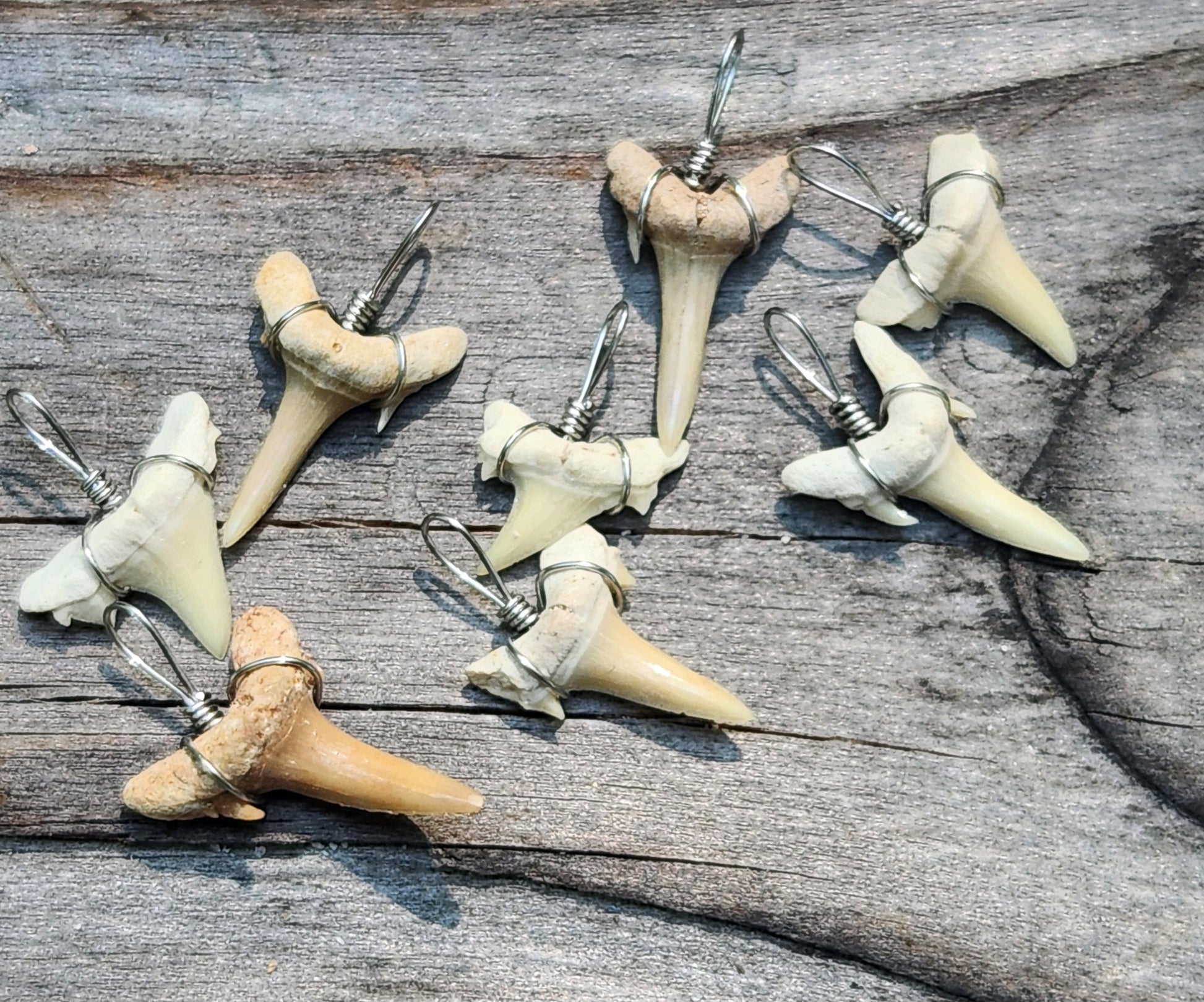 Shark’s tooth necklace teeth variations
