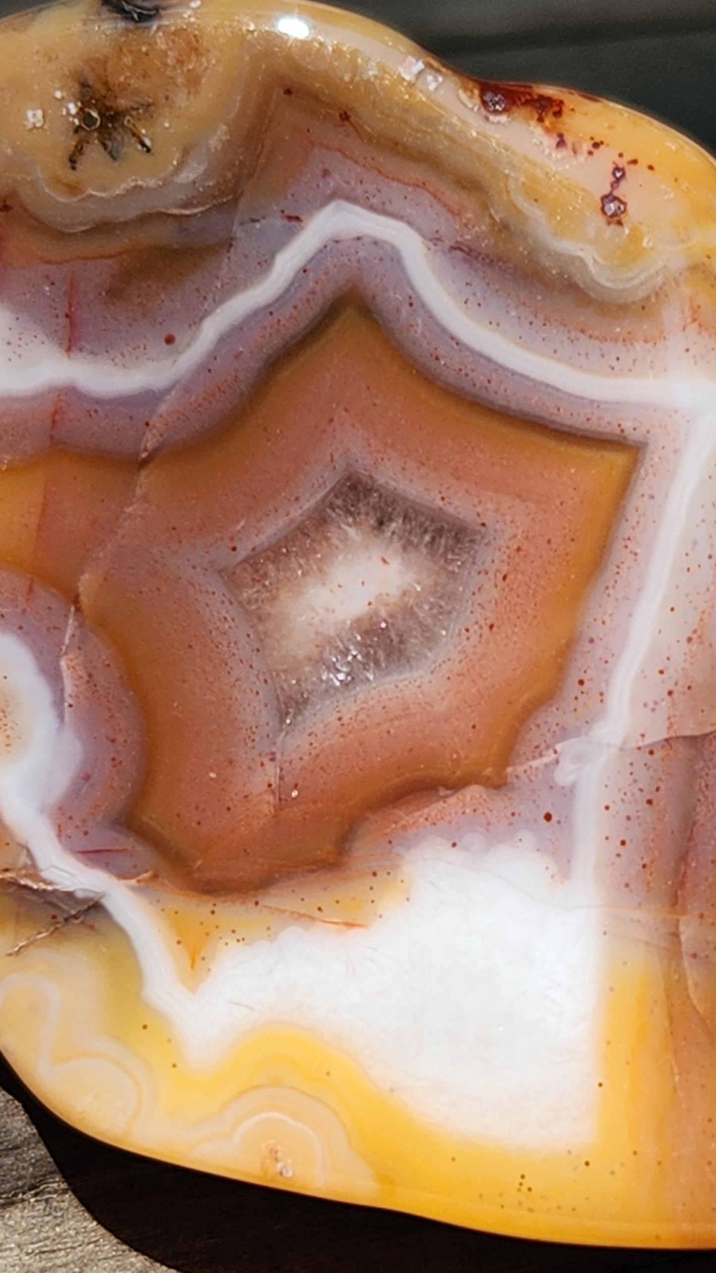 Mexican fortification agate with starburst center TA331