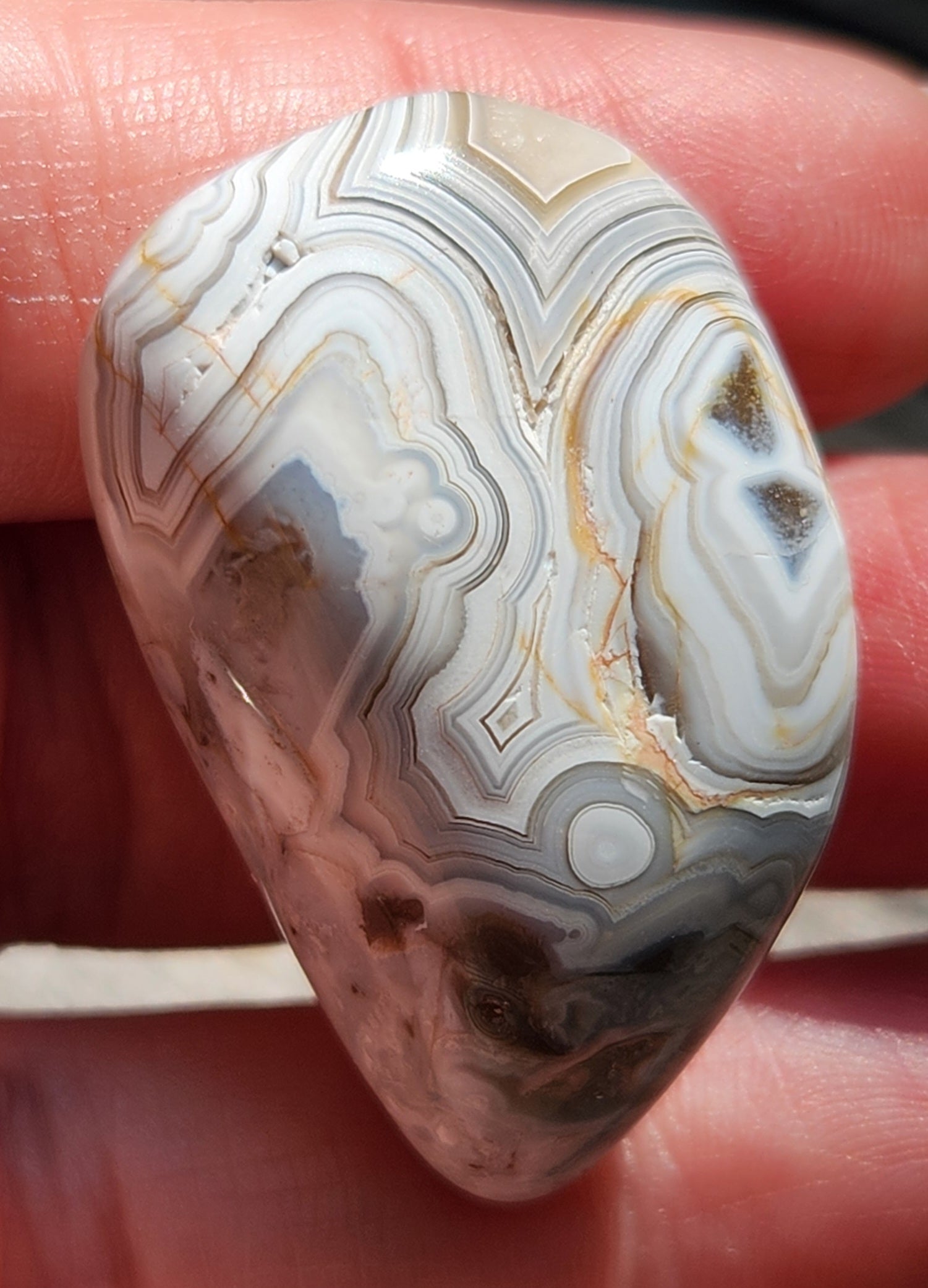 Mexican Crazy Lace Agate with fine-line cream and gray banding, TA363