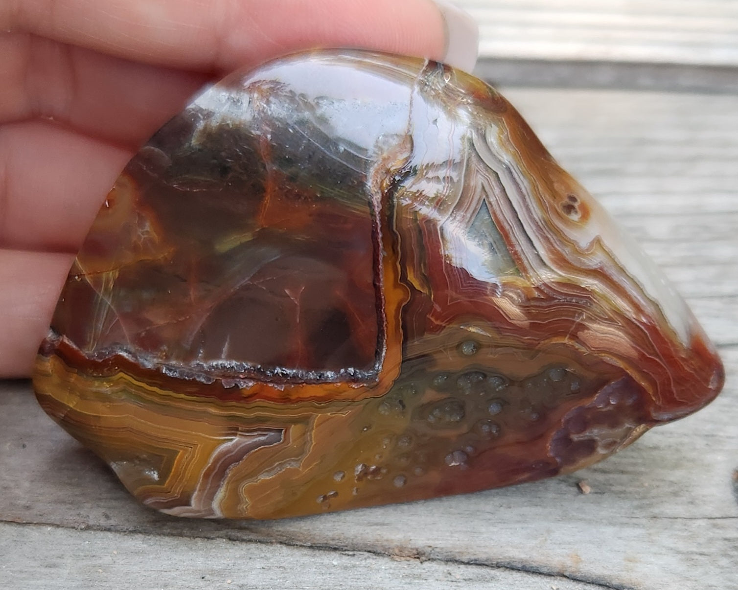 Orbicular patterned Crazy Lace Agate suitable for collectors, TA355