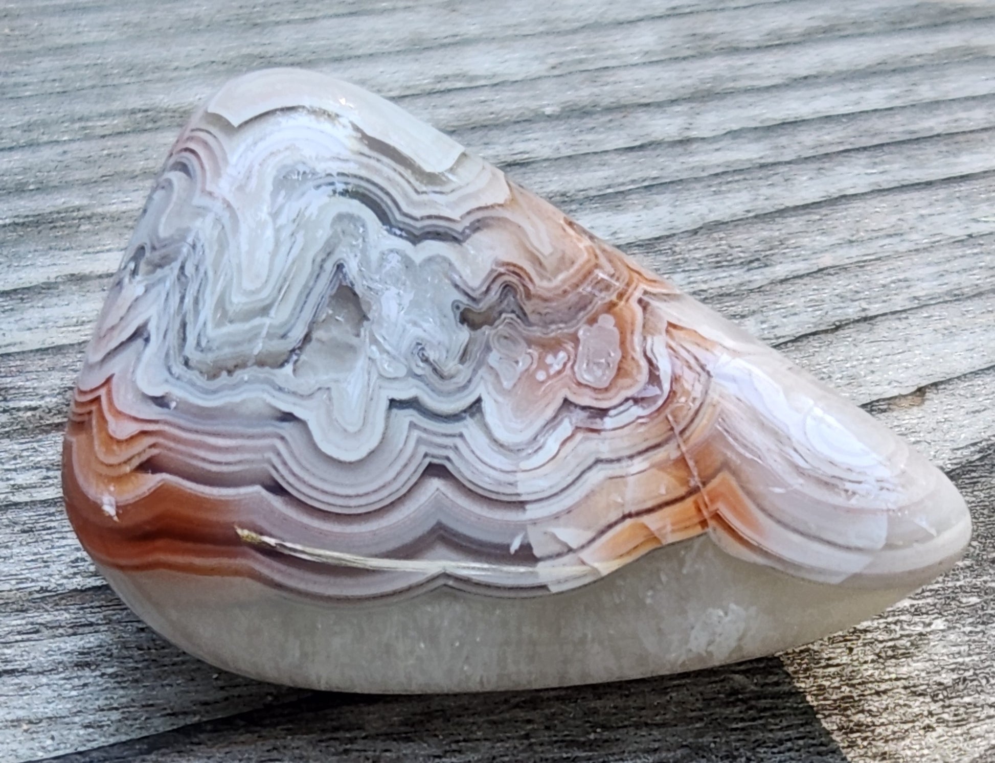 Crazy Lace Agate showing lace pattern, TA356