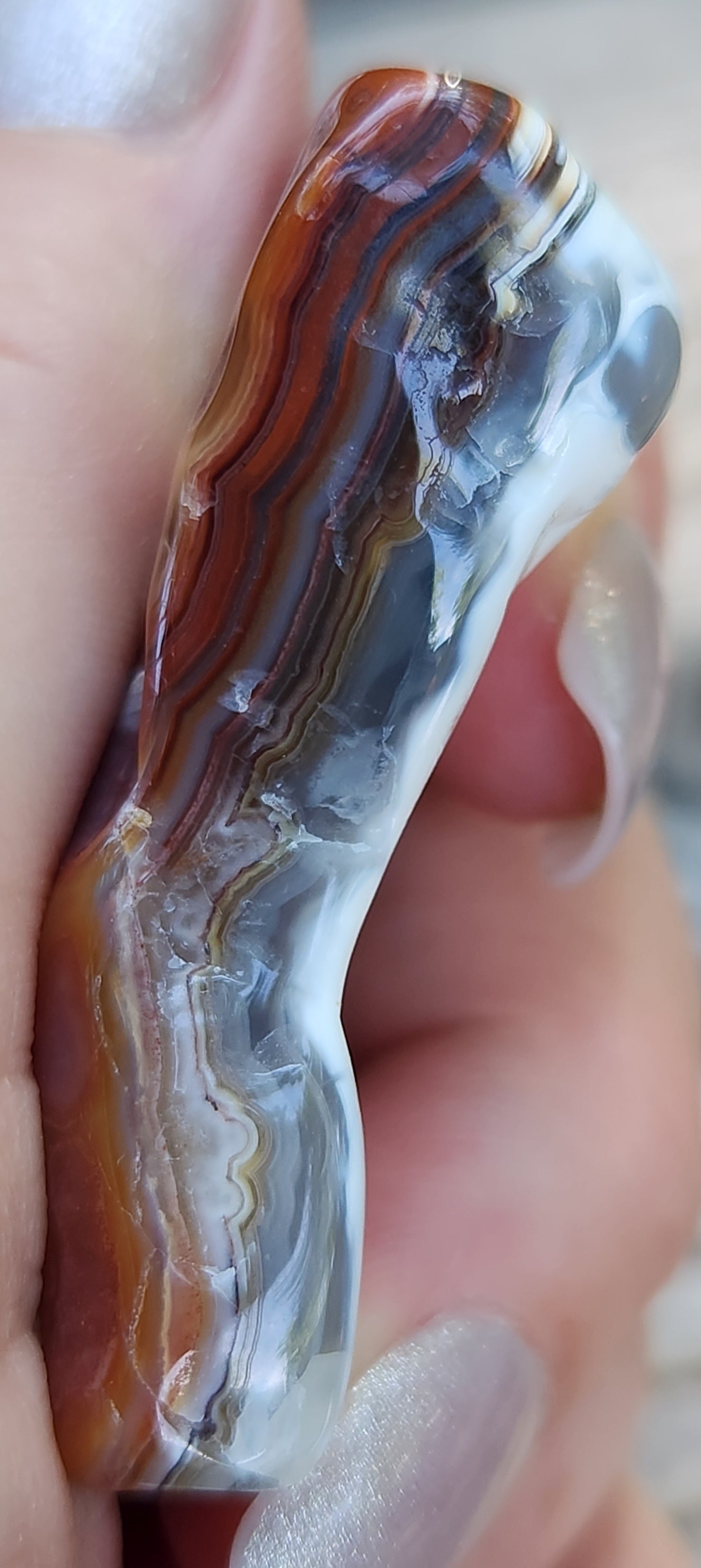 Mexican Crazy Lace Agate with tight multicolor fortification banding, TA357