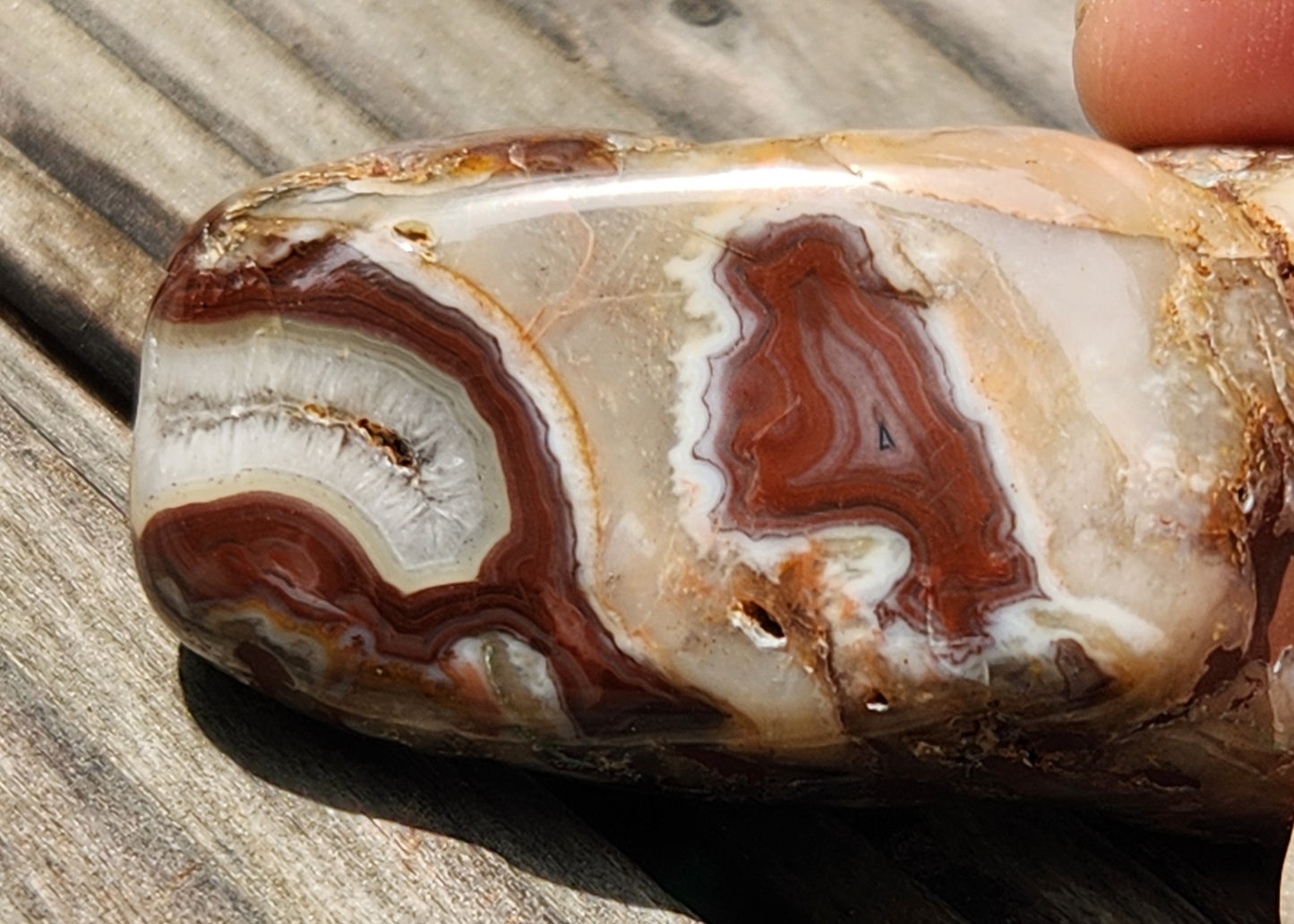 Mexican agate showing fortification pattern TA266