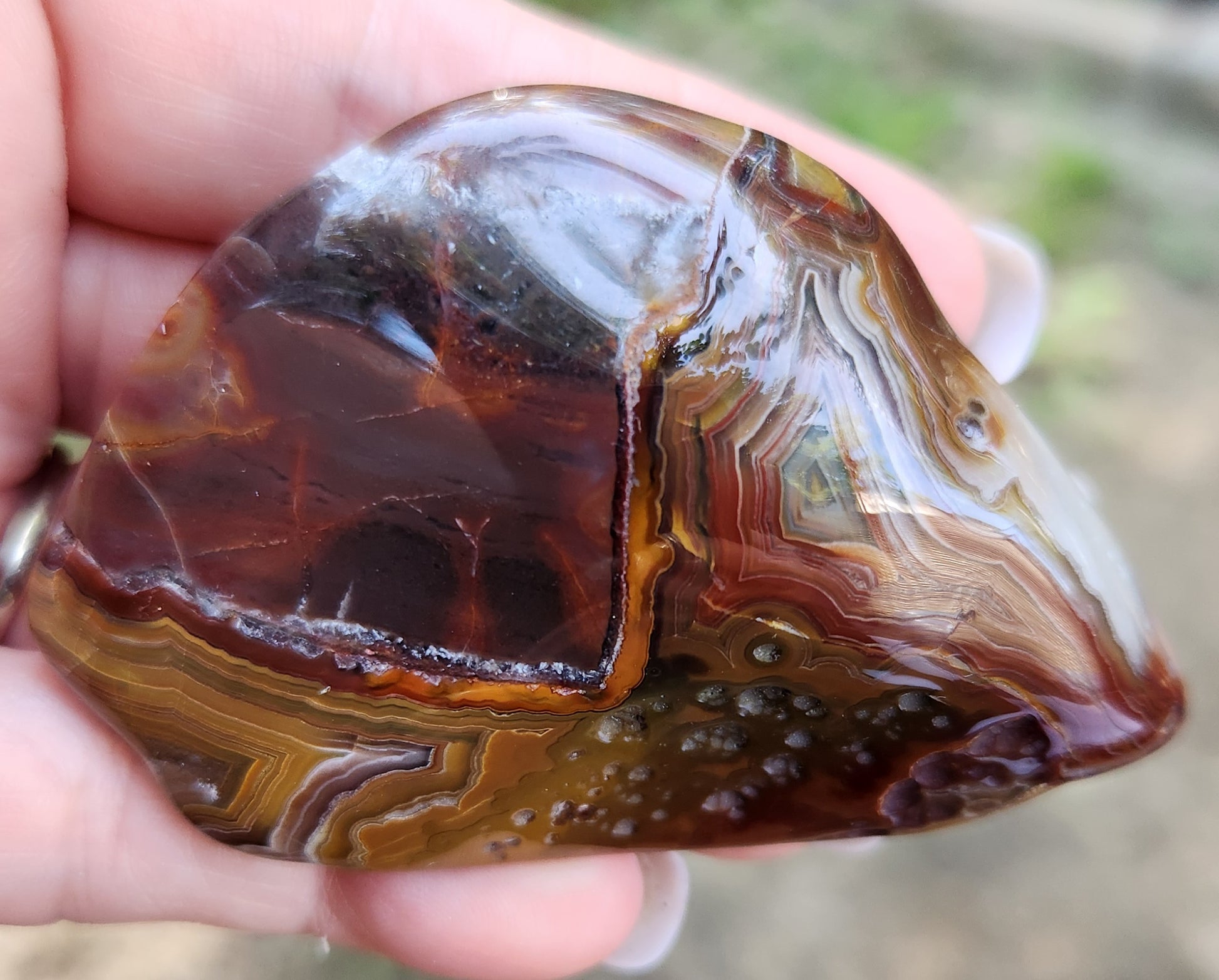 In-house tumbled Mexican Crazy Lace Agate with bold mahogany banding, TA355