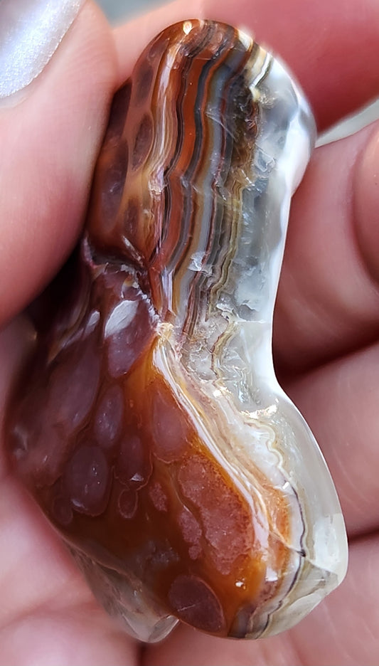 In-house tumbled Mexican Crazy Lace Agate with orbicular eye formations, TA357
