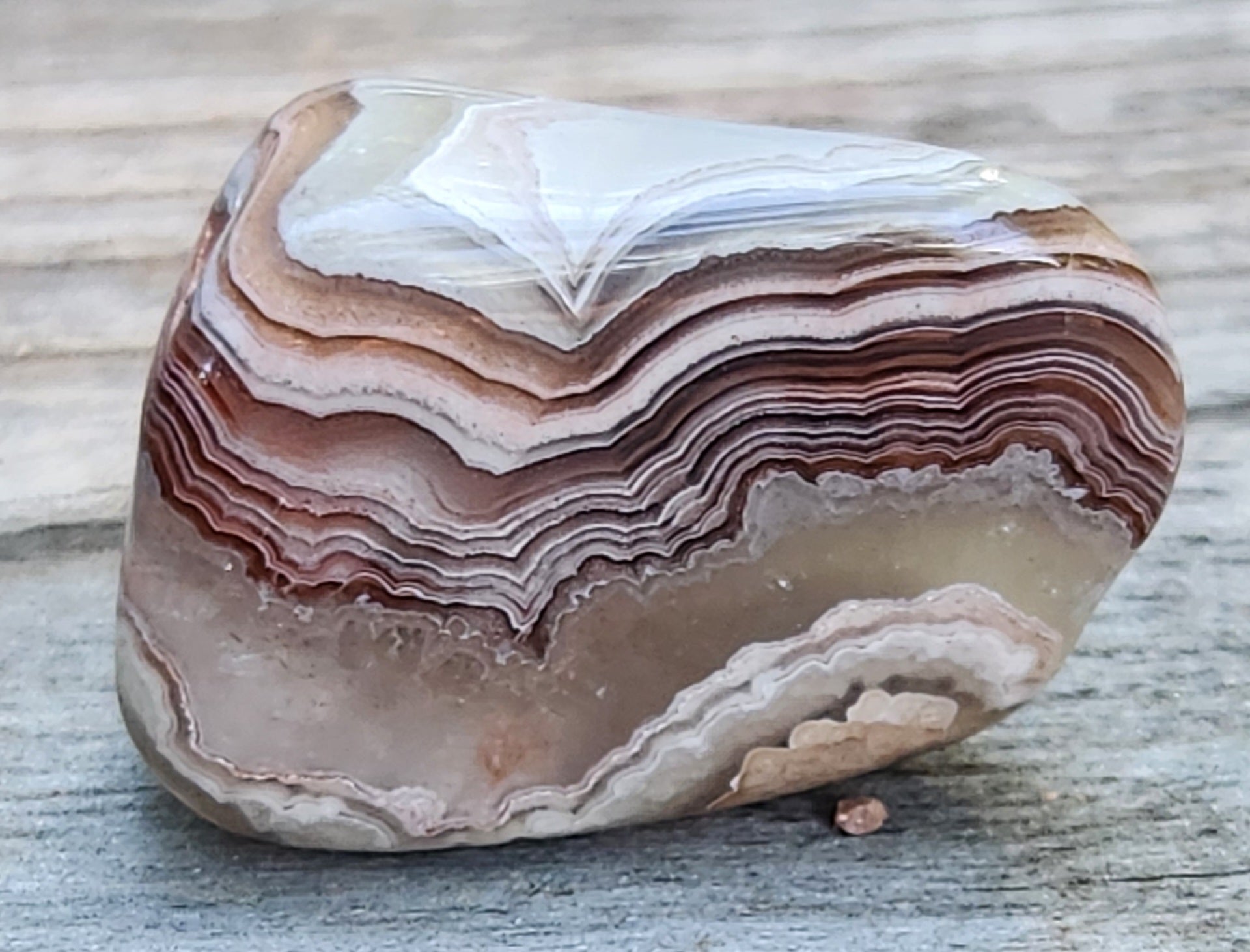 In-house tumbled Mexican Crazy Lace Agate with tight red-brown fortification banding, TA358