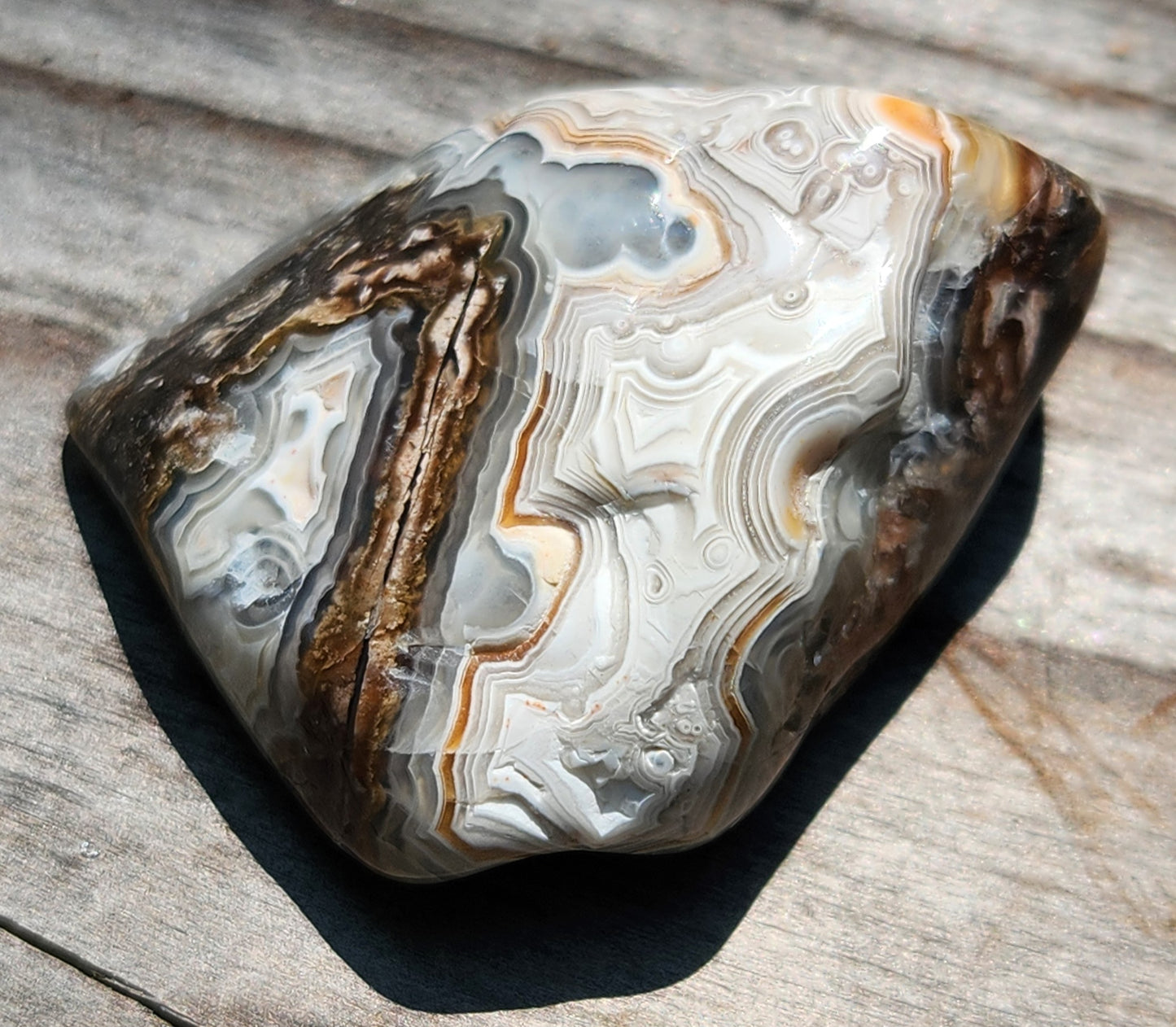 In-house tumbled Mexican Crazy Lace Agate with fortification banding, TA361