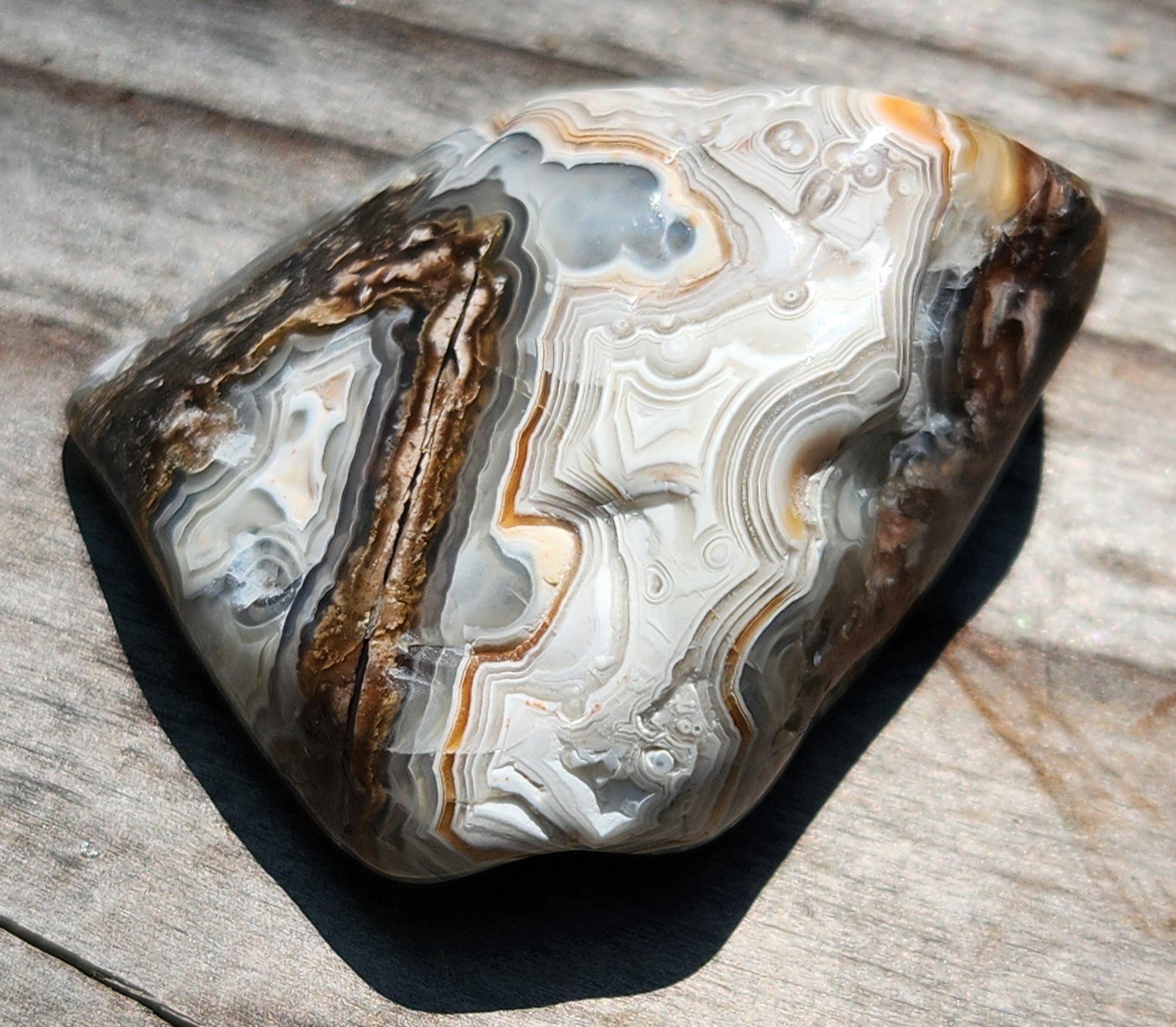 In-house tumbled Mexican Crazy Lace Agate with fortification banding, TA361