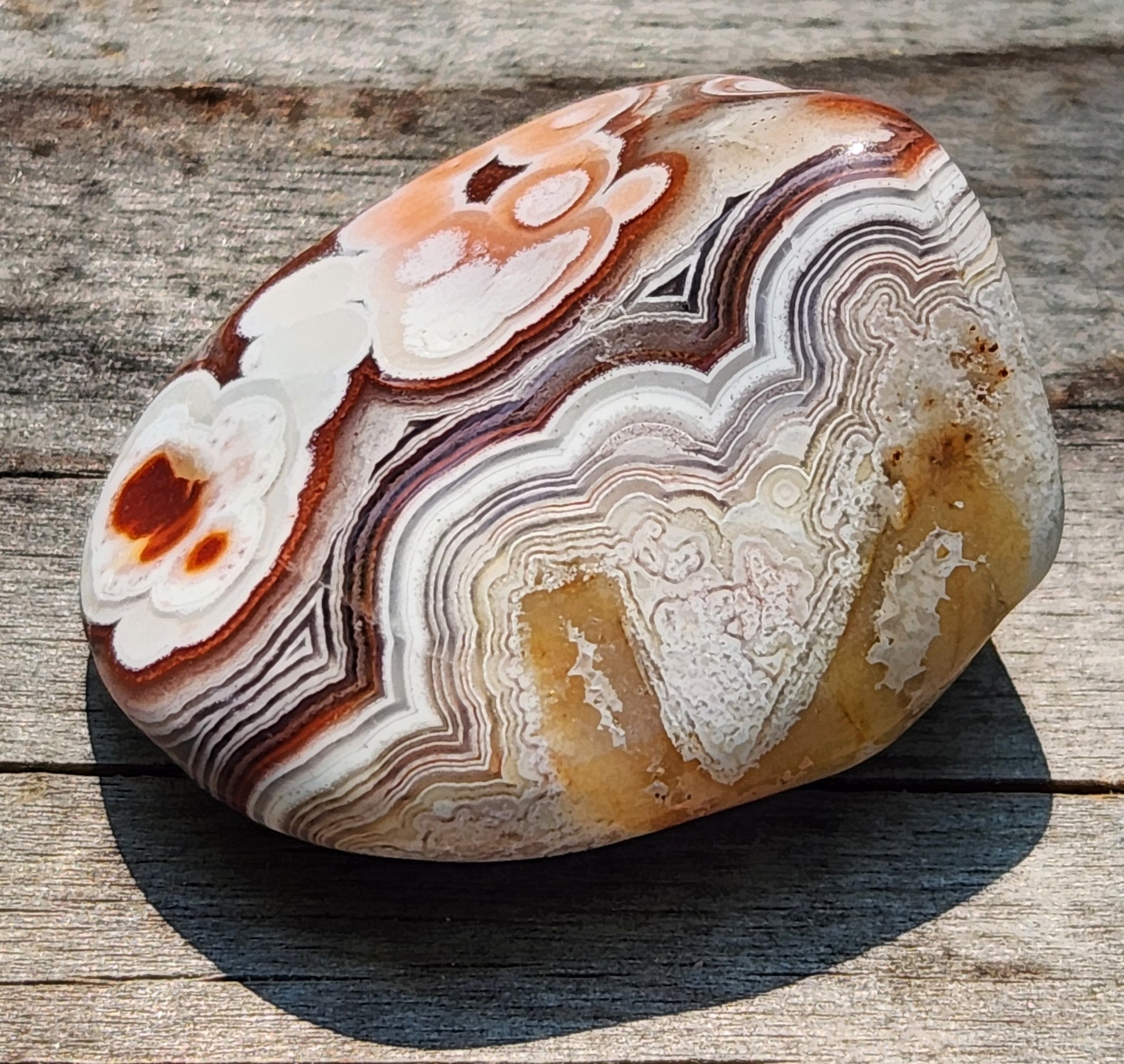 In-house tumbled Mexican Crazy Lace Agate with orbicular eye formations, TA364