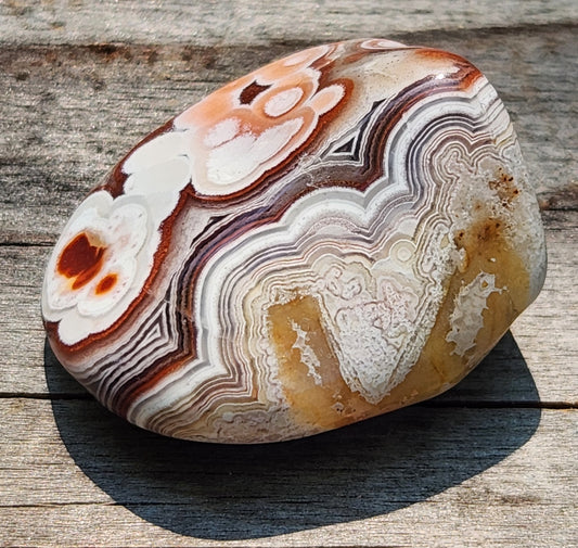 In-house tumbled Mexican Crazy Lace Agate with orbicular eye formations, TA364