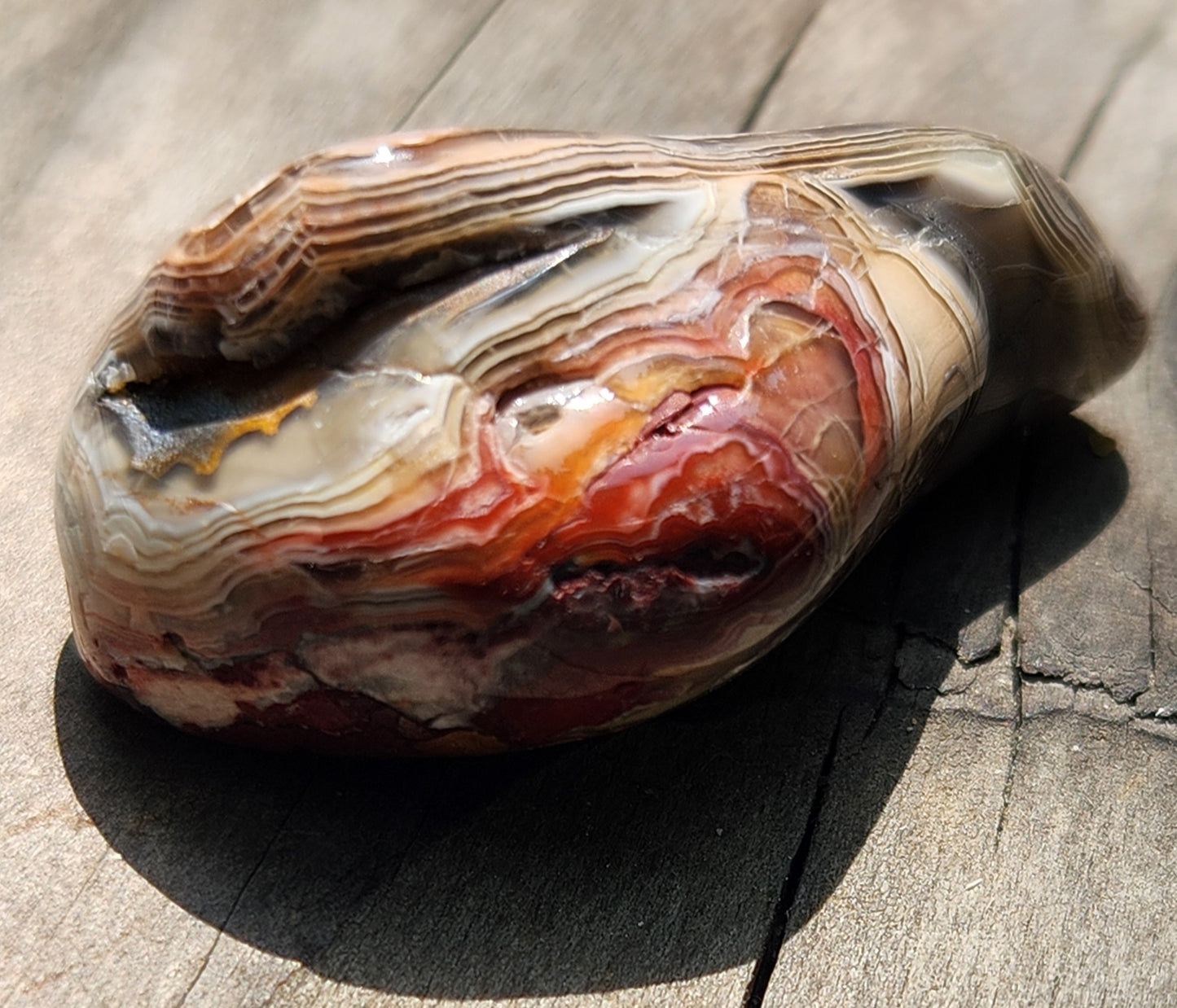 In-house tumbled Mexican Crazy Lace Agate with bold red and cream fortification banding, TA367