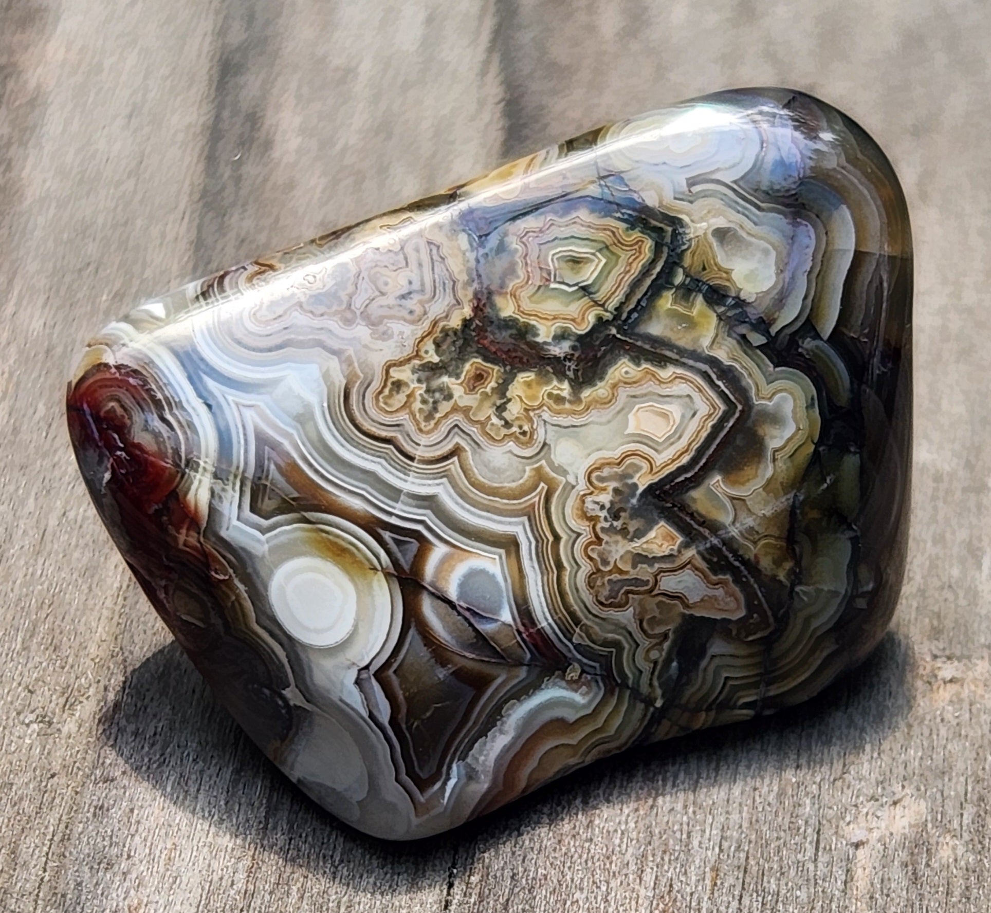 In-house tumbled Mexican Crazy Lace Agate with complex fortification banding, TA370