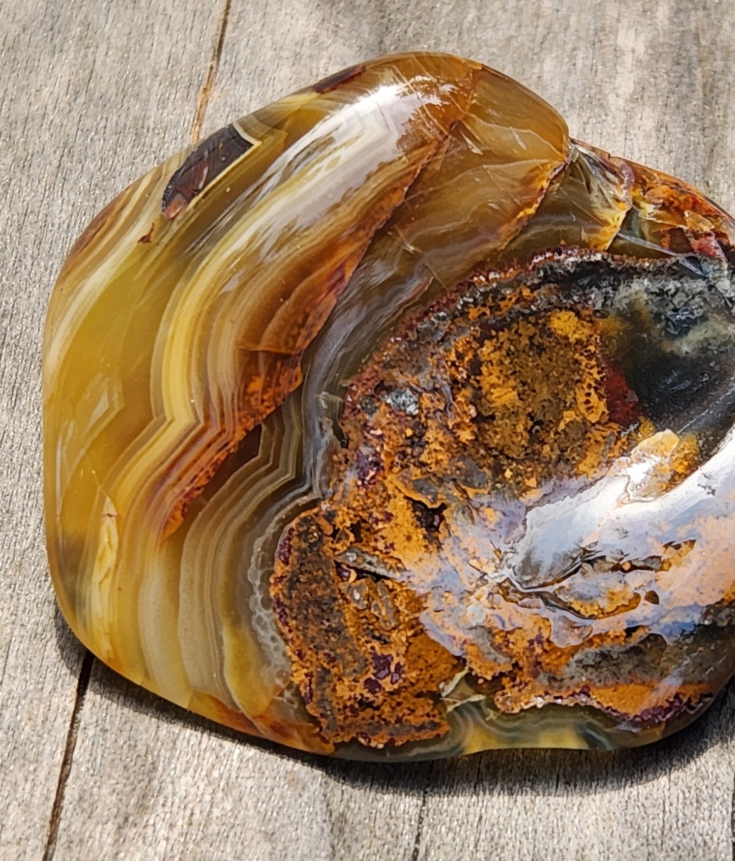 In-house tumbled Mexican Crazy Lace Agate with bold golden fortification banding, TA371