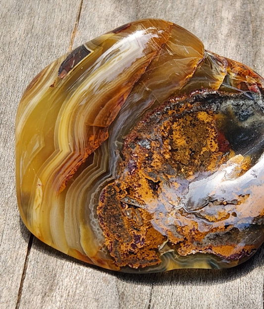 In-house tumbled Mexican Crazy Lace Agate with bold golden fortification banding, TA371