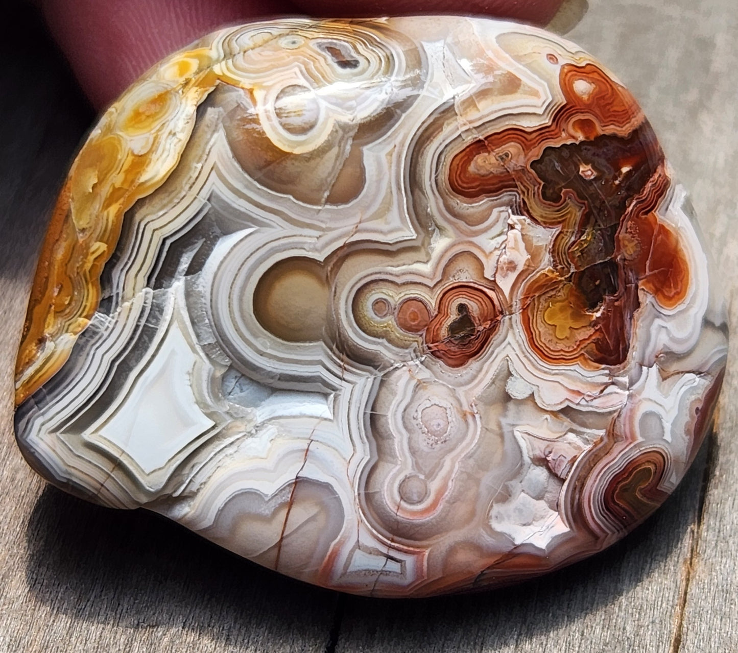 In-house tumbled Mexican Crazy Lace Agate with intricate lace banding, TA372