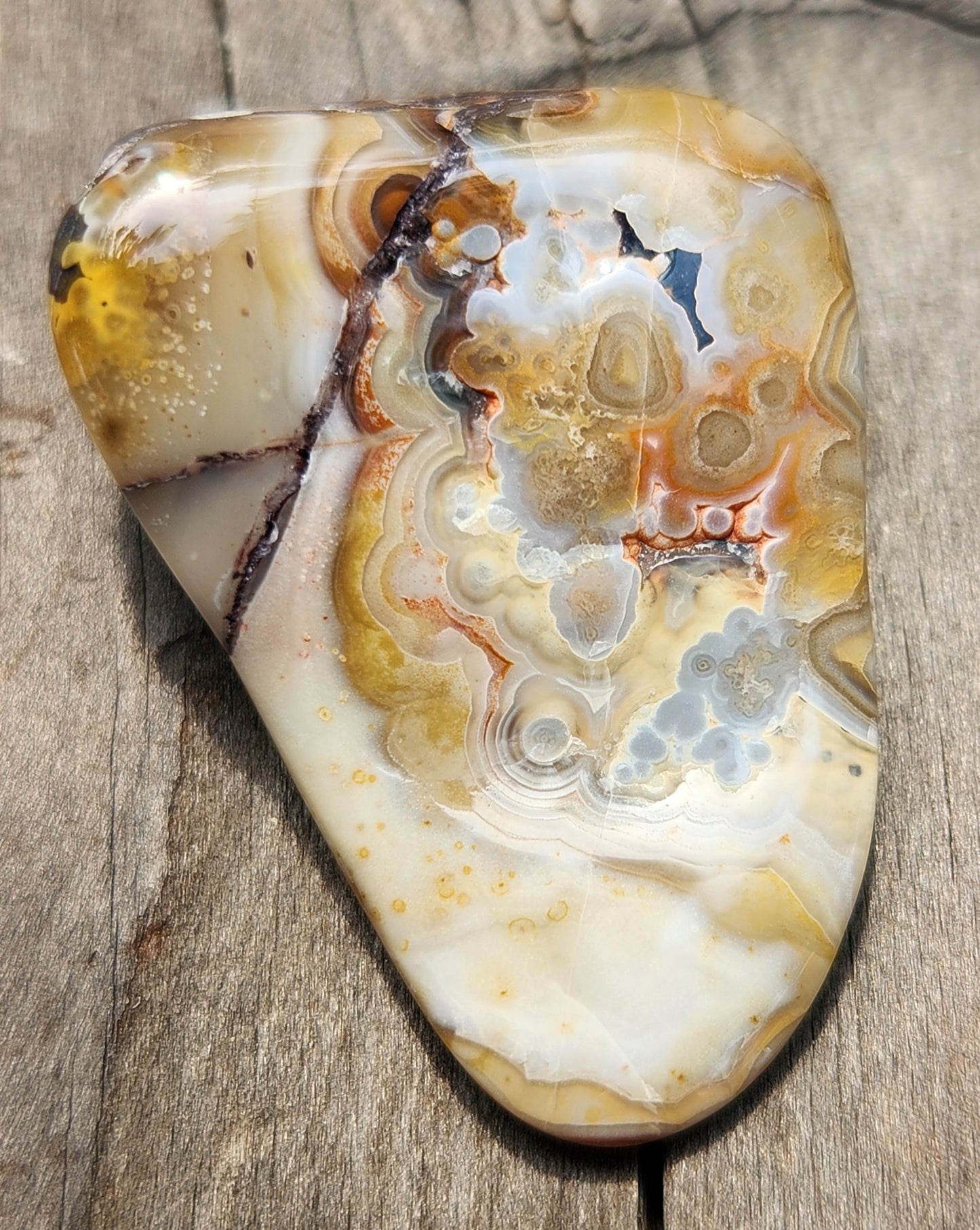 In-house tumbled Mexican Crazy Lace Agate with intricate fortification banding, TA373