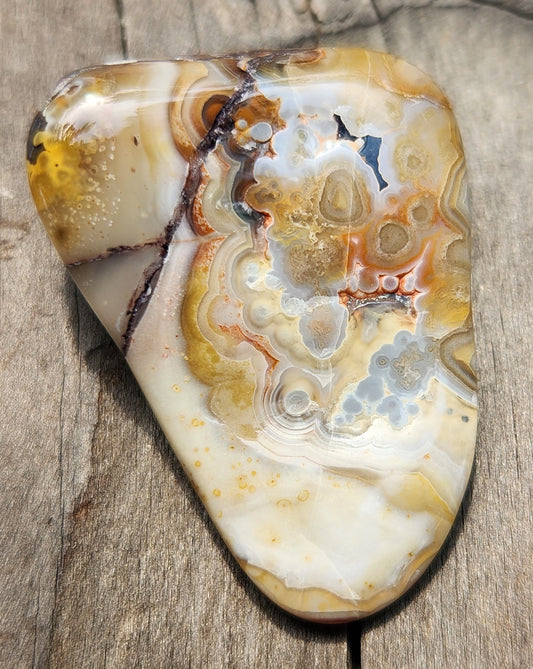 In-house tumbled Mexican Crazy Lace Agate with intricate fortification banding, TA373