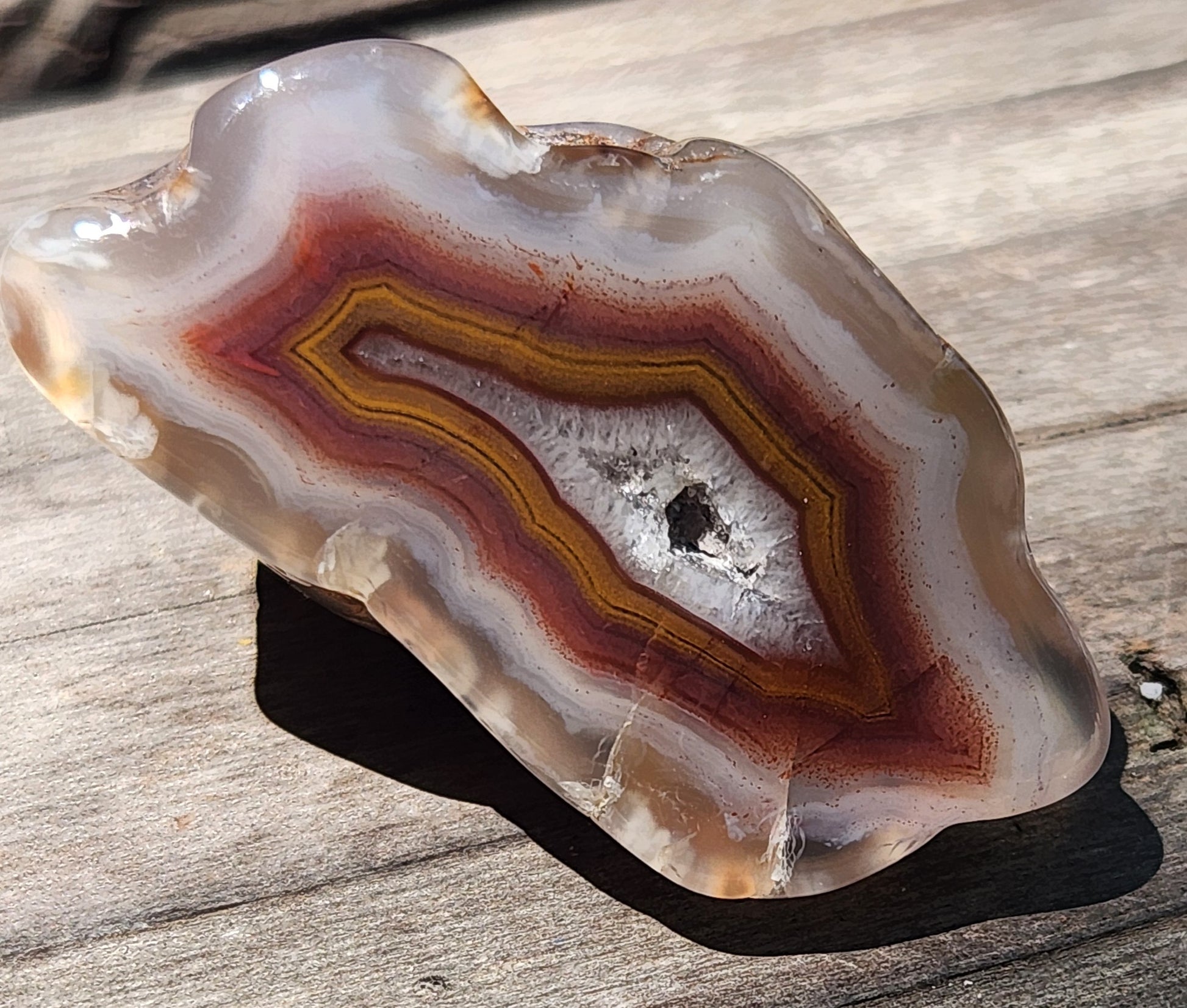 Polished agate showing mustard yellow and deep red layers TA325